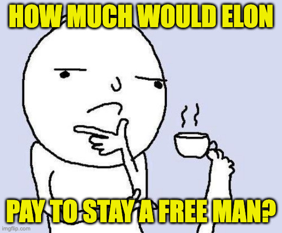 thinking meme | how much would elon pay to stay a free man? | image tagged in thinking meme | made w/ Imgflip meme maker