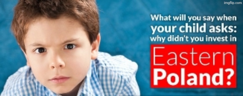 Why didn't you invest in Eastern Poland? | image tagged in why didn't you invest in eastern poland | made w/ Imgflip meme maker