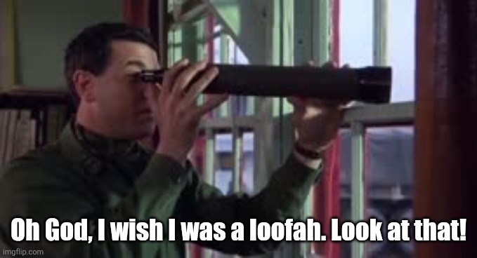 Stripes - Loofah Peeping Tom | Oh God, I wish I was a loofah. Look at that! | image tagged in loofah jpg | made w/ Imgflip meme maker