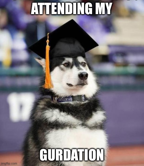Graduate Dog | Attending my; Gurdation | image tagged in graduate dog | made w/ Imgflip meme maker
