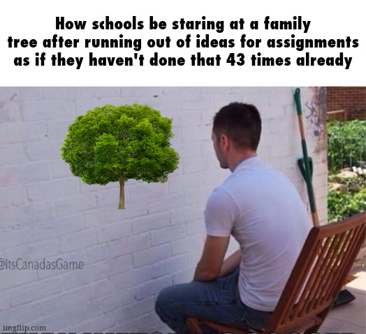 all for quality education tho amirite | How schools be staring at a family tree after running out of ideas for assignments as if they haven't done that 43 times already | image tagged in staring at wall | made w/ Imgflip meme maker