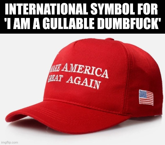 Gullible Pedo Lovers Unite | International symbol for 
'i am a gullable dumbfuck' | image tagged in screenshot_20260603_122725_photo editor jpg | made w/ Imgflip meme maker