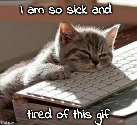I am so sick and tired of this gif | image tagged in tired cat | made w/ Imgflip meme maker