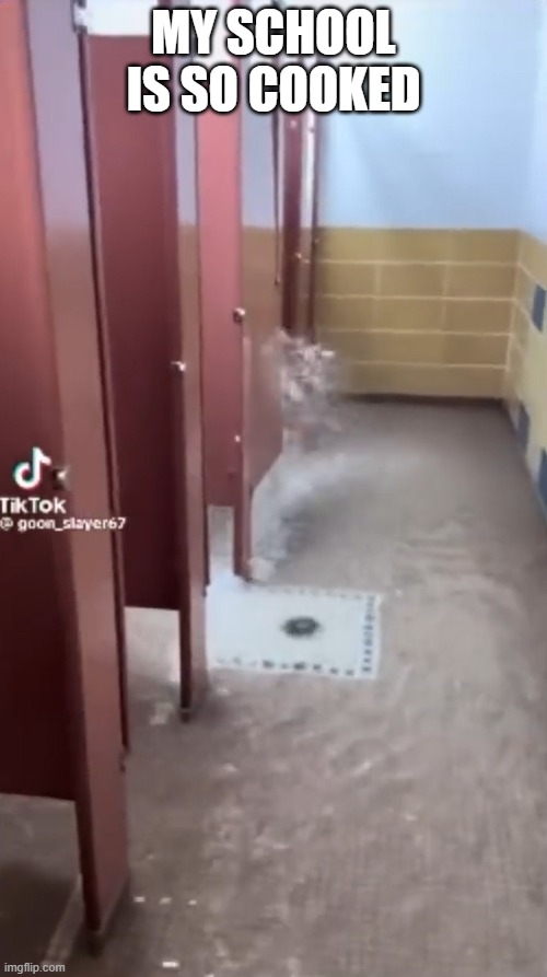Who did this to the bathroom broh | my school is so cooked | image tagged in bathroom humor,funny,school meme,funny meme,oh god why,why can't you just be normal | made w/ Imgflip meme maker
