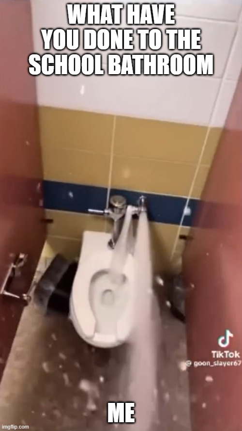 Pov you get bored at school | What have you done to the school bathroom; Me | image tagged in why can't you just be normal,funny,school,oh god why,lol | made w/ Imgflip meme maker