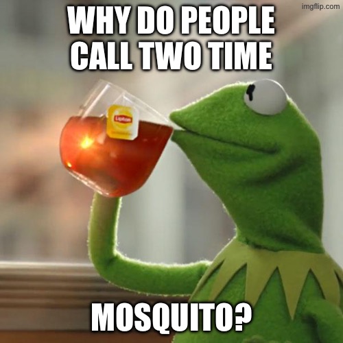 But That's None Of My Business Meme | Why do people call two time; Mosquito? | image tagged in memes,but that's none of my business,kermit the frog | made w/ Imgflip meme maker