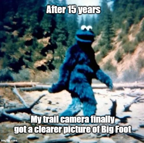Bigfoot | After 15 years; My trail camera finally got a clearer picture of Big Foot | image tagged in bigfoot,cookie monster,security,picture | made w/ Imgflip meme maker