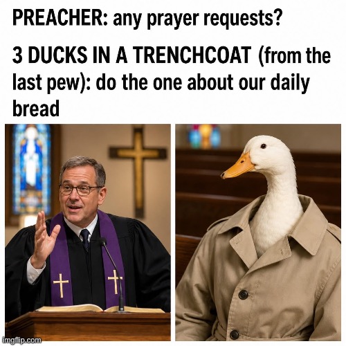 Ducks | image tagged in img_6149 jpeg,ducks,bread | made w/ Imgflip meme maker
