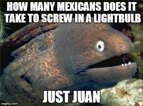 Bad Joke Eel | HOW MANY MEXICANS DOES IT TAKE TO SCREW IN A LIGHTBULB JUST JUAN | image tagged in memes,bad joke eel | made w/ Imgflip meme maker