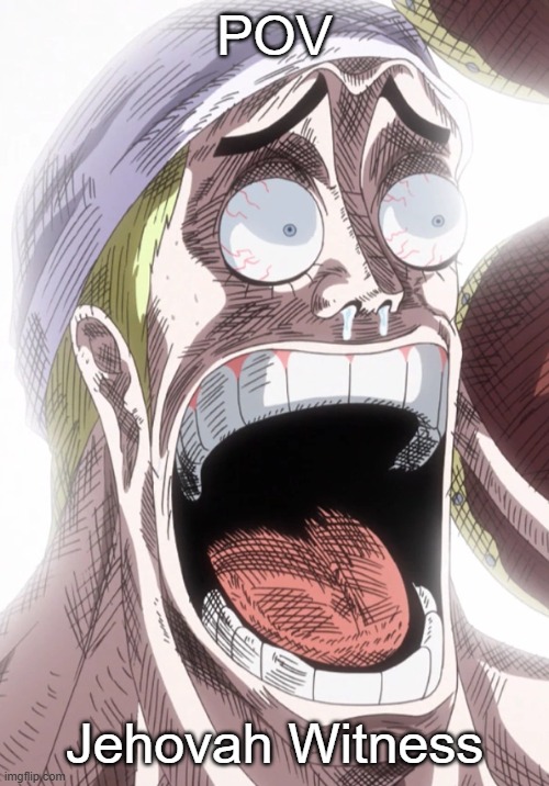 Yes | POV; Jehovah Witness | image tagged in one piece enel shocked | made w/ Imgflip meme maker