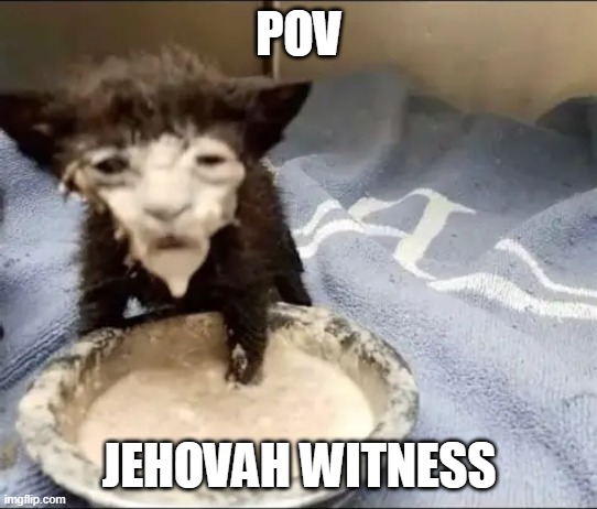 POV; Jehovah Witness | made w/ Imgflip meme maker