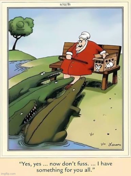 They’d rather have her instead of those mice | image tagged in the far side,comics,park bench,feeding,mice,alligators | made w/ Imgflip meme maker