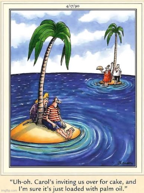 All they eat is raw fish | image tagged in the far side,comics,islands,marooned,invitation,cake | made w/ Imgflip meme maker