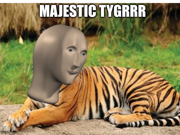 Tygrrr | Majestic tygrrr | image tagged in lol so funny,memes,meme man smort,cringe worthy | made w/ Imgflip meme maker