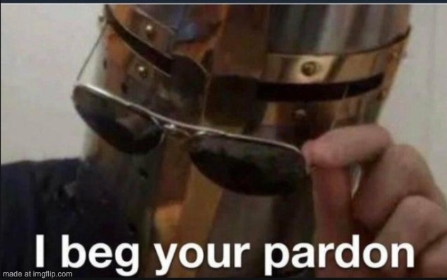 I beg your pardon | image tagged in i beg your pardon | made w/ Imgflip meme maker