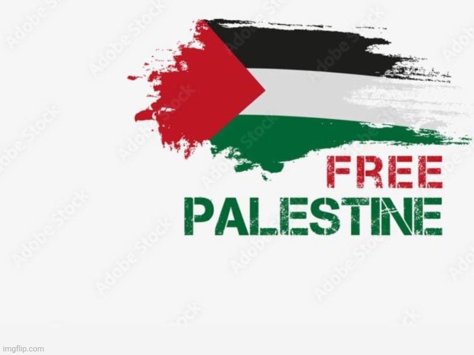 Free Palestine | image tagged in free palestine | made w/ Imgflip meme maker