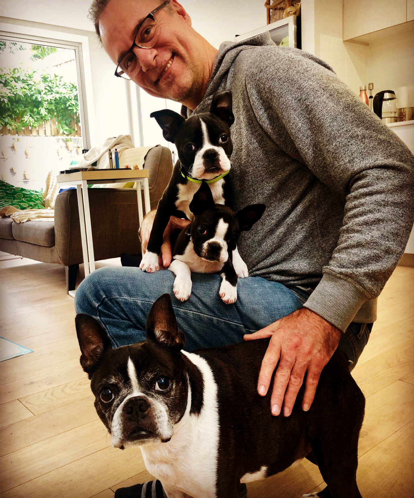 High Quality Daddy and Boston terriers Blank Meme Template