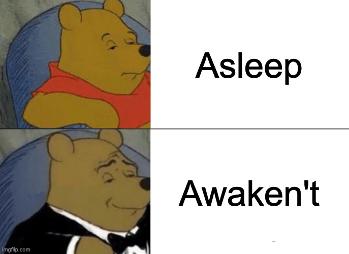 Tuxedo Winnie The Pooh Meme | Asleep; Awaken't | image tagged in memes,tuxedo winnie the pooh | made w/ Imgflip meme maker