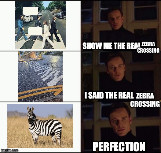 Zebra Crossing | Zebra crossing; Zebra crossing | image tagged in show me the real,zebra,animal crossing,the beatles,road | made w/ Imgflip meme maker