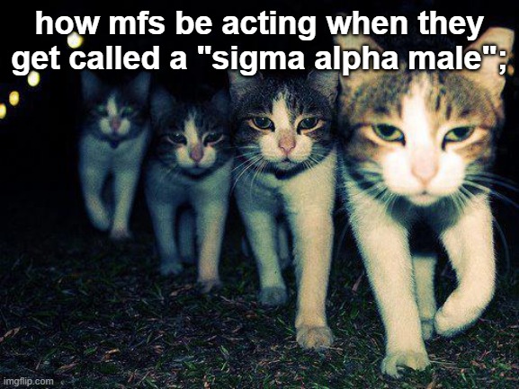 kinda shitpost content | how mfs be acting when they get called a "sigma alpha male"; | image tagged in memes,wrong neighboorhood cats | made w/ Imgflip meme maker