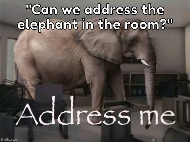 rah address him | "Can we address the elephant in the room?" | image tagged in adress me | made w/ Imgflip meme maker