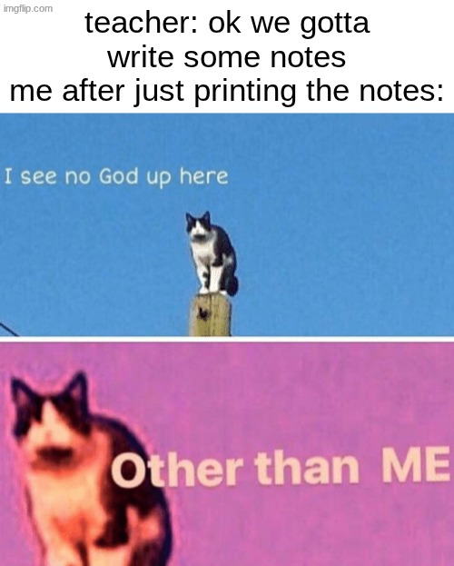 true story, i didnt wanna write so i just went to the library to print it | teacher: ok we gotta write some notes
me after just printing the notes: | image tagged in hail pole cat | made w/ Imgflip meme maker