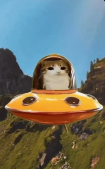 space cat Blank Meme Template