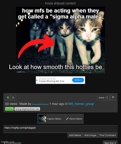 Hot & humid | Look at how smooth this hotties be | image tagged in smooth,memes,cats | made w/ Imgflip meme maker