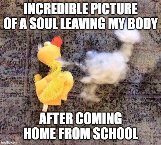 school | incredible picture of a soul leaving my body; after coming home from school | image tagged in memes | made w/ Imgflip meme maker
