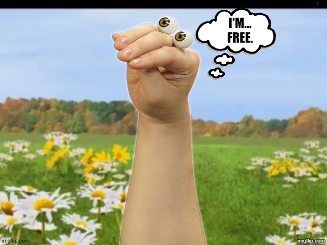 Oobi's realization | I'm... free. | image tagged in oobi,freedom | made w/ Imgflip meme maker