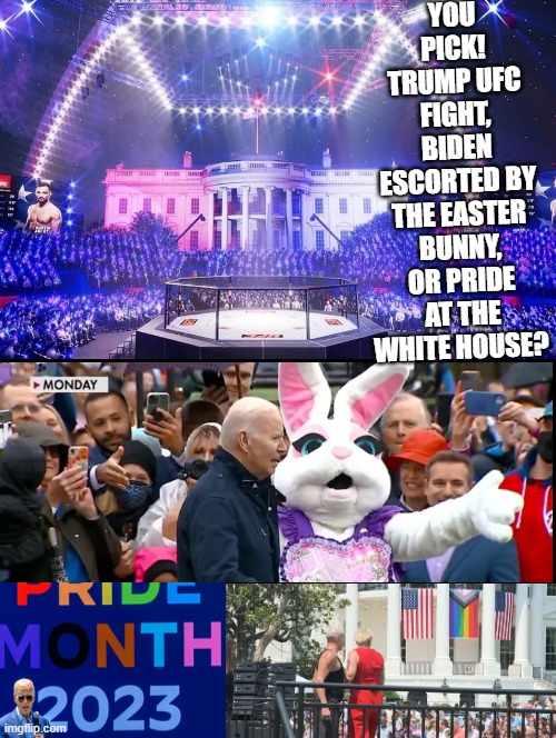 Pick one!! | You pick! Trump UFC Fight, biden escorted by the easter bunny, or pride at the white house? | image tagged in you can pick only one choose wisely | made w/ Imgflip meme maker