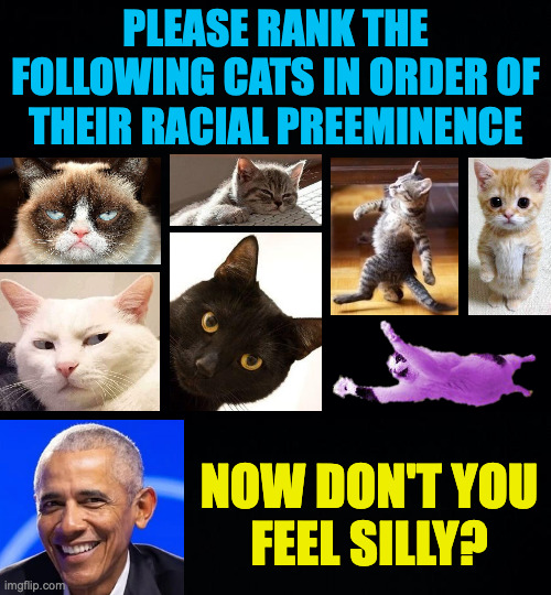 Why aliens keep their distance #17. | please rank the
following cats in order of
their racial preeminence; now don't you
feel silly? | image tagged in memes,racism,obama explains | made w/ Imgflip meme maker