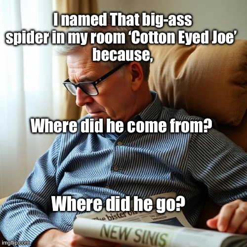 Where’s that Spider | I named That big-ass spider in my room ‘Cotton Eyed Joe’ 
because, Where did he come from? Where did he go? | image tagged in img_9654 jpeg,spider,missing | made w/ Imgflip meme maker