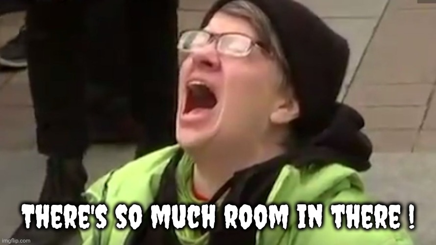 Screaming Liberal  | There's so much room in there ! | image tagged in screaming liberal | made w/ Imgflip meme maker