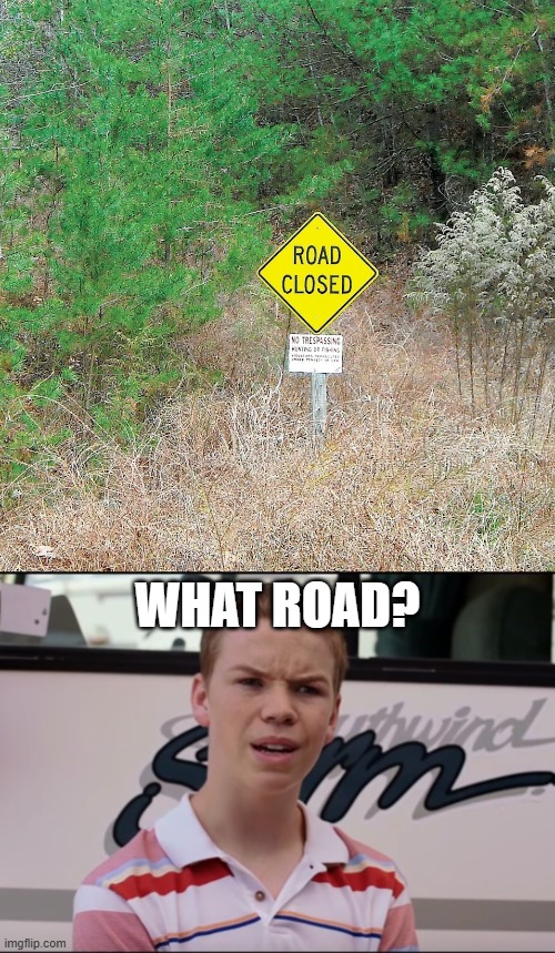 What road? | image tagged in you guys are getting paid | made w/ Imgflip meme maker