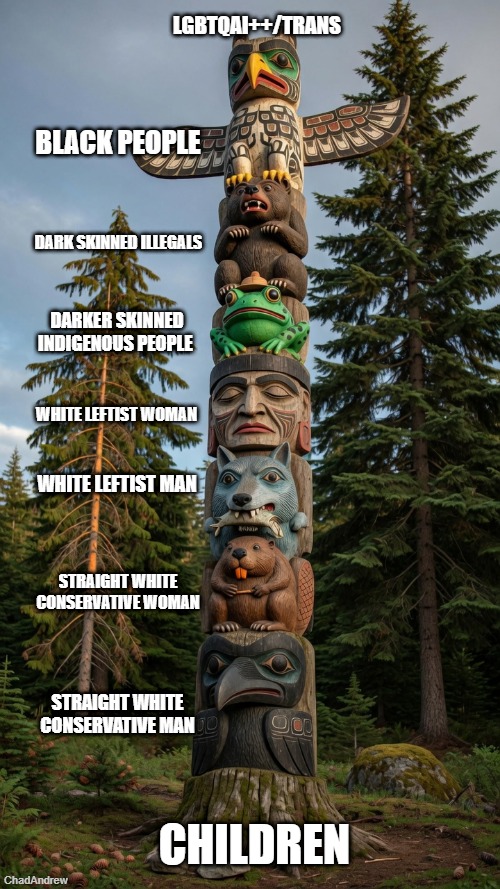 The Leftist/Democrat victim totem. Notice children are on the very bottom. The left hates children. | lgbtqai++/trans; black people; dark skinned illegals; darker skinned indigenous people; white leftist woman; white leftist man; straight white conservative woman; Straight white conservative man; children | image tagged in leftists,democrats,victims,trans,victim status | made w/ Imgflip meme maker