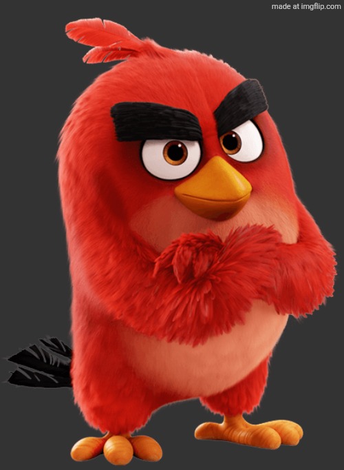 . | image tagged in red bird the angry birds movie | made w/ Imgflip meme maker
