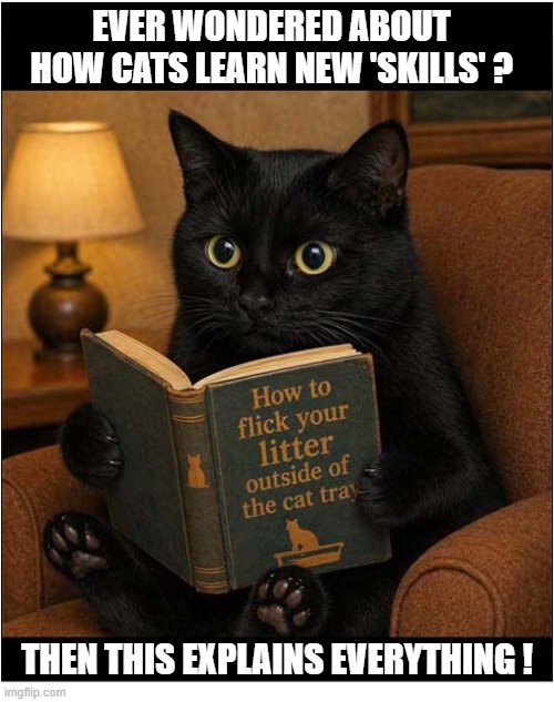 Instruction Manual For Cats | Ever Wondered about how cats learn new 'skills' ? Then This explains everything ! | image tagged in cats,instructions,manual,litter,chaos | made w/ Imgflip meme maker
