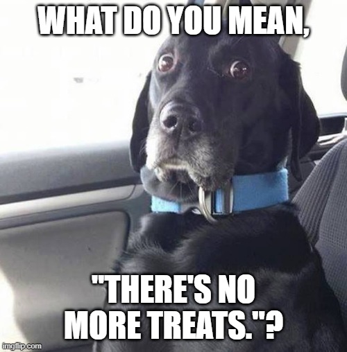 No More Treats | what do you mean, "there's no more treats."? | image tagged in black lab wide eyed dog | made w/ Imgflip meme maker
