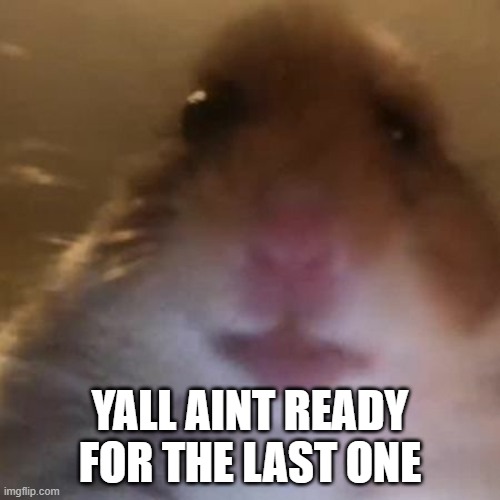 Hampter | yall aint ready for the last one | image tagged in hampter | made w/ Imgflip meme maker