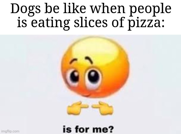 Image Title | Dogs be like when people is eating slices of pizza: | image tagged in is for me,memes,funny,dogs | made w/ Imgflip meme maker