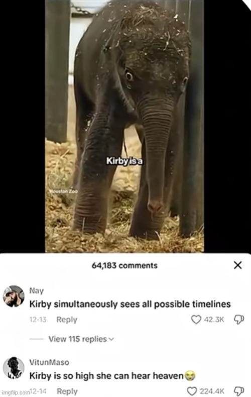 Kirby has definitely seen sum shi | image tagged in elephant | made w/ Imgflip meme maker