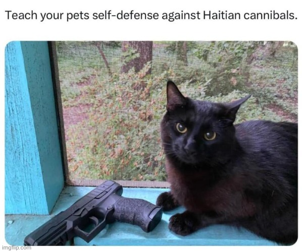 Teach your pets self defense | image tagged in teach your pets self defense,gun | made w/ Imgflip meme maker