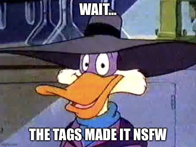 DO NOT MARK THIS AS NSFW | WAIT…; THE TAGS MADE IT NSFW | image tagged in derpwing dork,i don't think it means what you think it means,tags,random tag,secret tag,a mythical tag | made w/ Imgflip meme maker