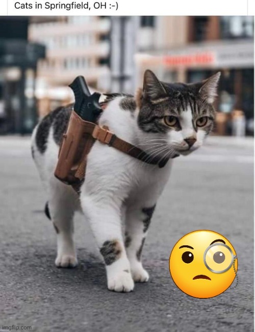 Cat with holsterd .45 | image tagged in cat with holstered gun,hard | made w/ Imgflip meme maker