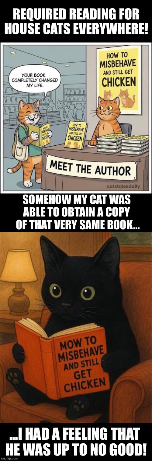 A bestseller! | Required reading for 
house cats everywhere! | image tagged in cats,book,meet the author,misbehave,chicken,up to no good | made w/ Imgflip meme maker