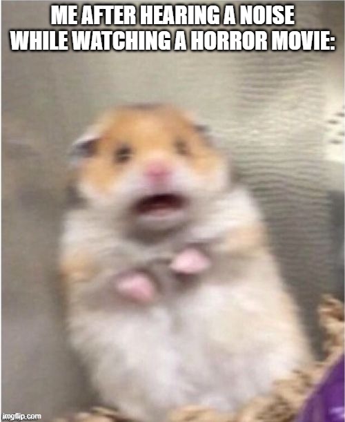 Watching a horror movie: | Me after hearing a noise while watching a horror movie: | image tagged in scared hamster | made w/ Imgflip meme maker