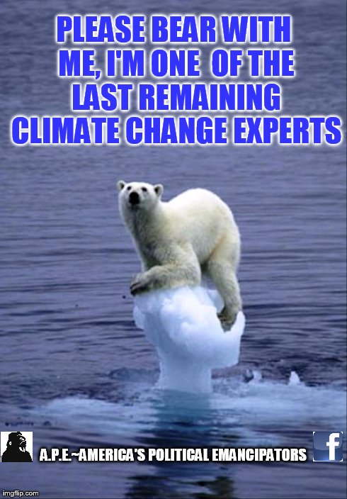 Climate Change | PLEASE BEAR WITH ME, I'M ONE  OF THE LAST REMAINING CLIMATE CHANGE EXPERTS A.P.E.~AMERICA'S POLITICAL EMANCIPATORS | image tagged in climate change,polar bear,environment,political | made w/ Imgflip meme maker