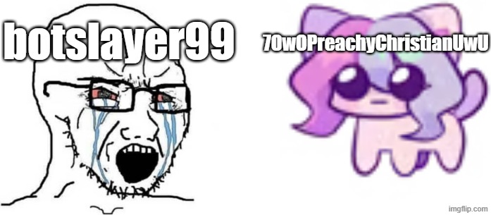 Botslayer99 vs Me | botslayer99; 7OwOPreachyChristianUwU | image tagged in soyboy vs cat sashley,memes | made w/ Imgflip meme maker