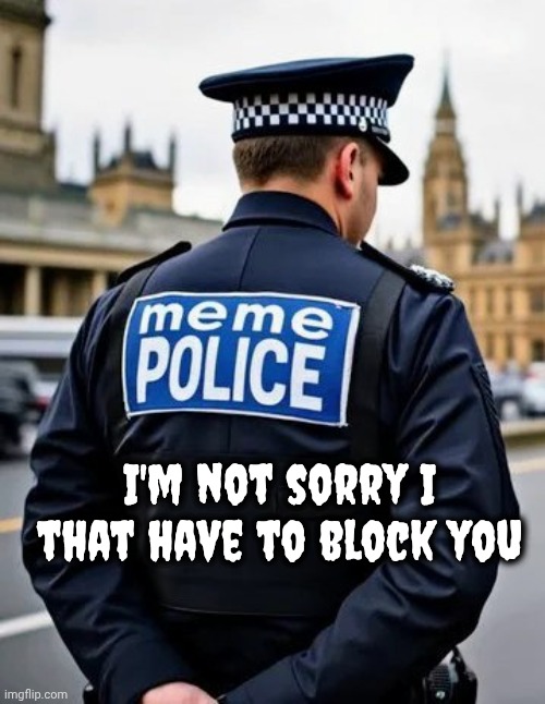 I'm not sorry I that have to block you | image tagged in the meme police | made w/ Imgflip meme maker